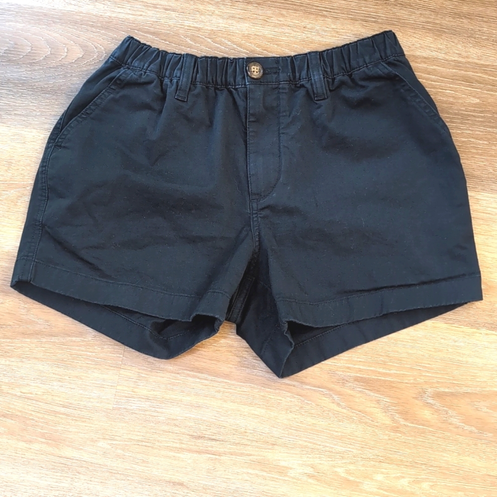 Chubbies men Casual Shorts